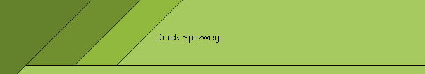 Druck Spitzweg