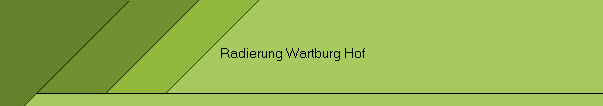 Radierung Wartburg Hof